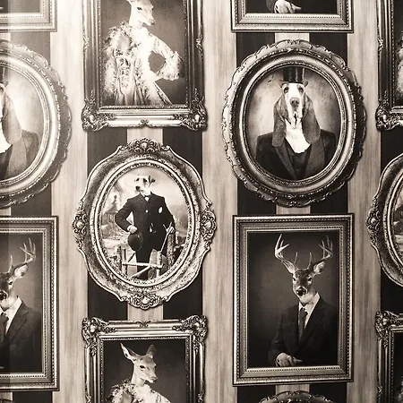 Best Sw. Antoniego * Wroclaw